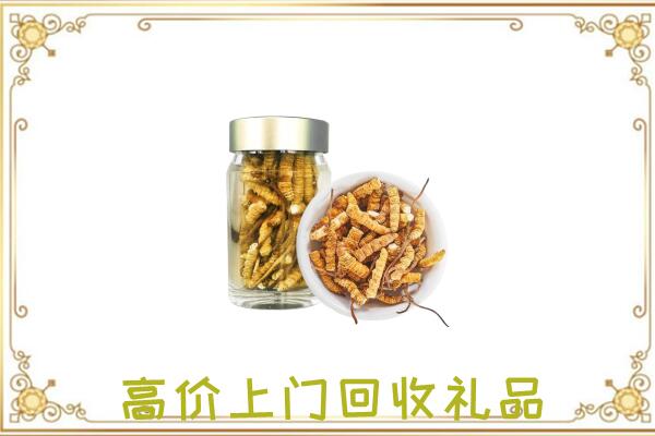 松原周边回收虫草